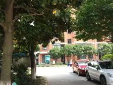 金汇·金汇花园一街坊·超大花园 全新装修 当中位置