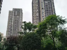 盘龙商圈 精装一房 东郡 带阳台 配套齐全