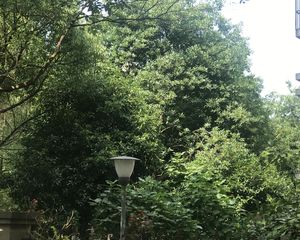 房子带露台,户型方正,采光不错,带车棚