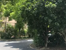 原始森兰一房、一梯2沪,中间花园位置。满5税少