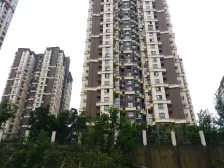 斌鑫小高层顶跃,带屋顶花园精装修。