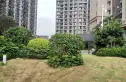 碧桂园智慧家实景图