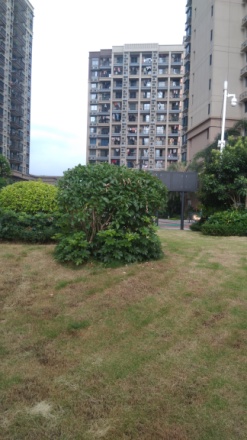碧桂园智慧家实景图