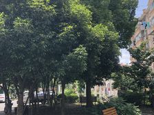 次新现浇房,清溪CBD,荷兰新城片区,非顶楼