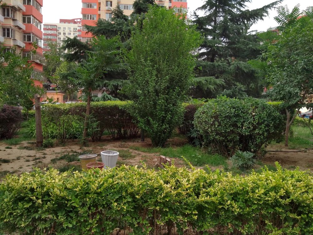 小区相关图