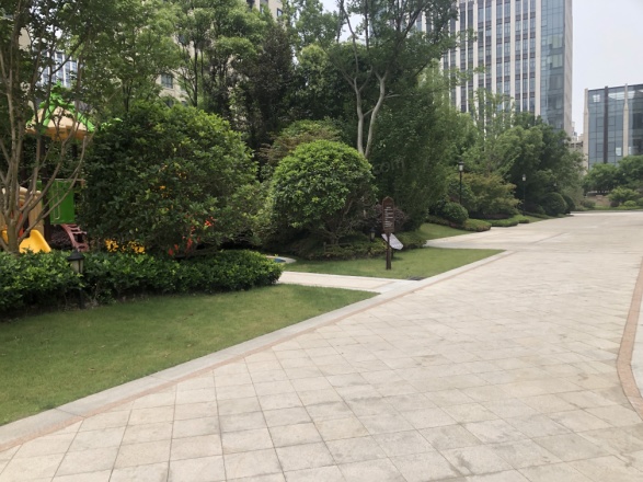 凯利海华府实景图