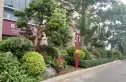 碧桂园智慧家实景图
