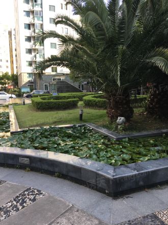 虹桥帝梵尼花园实景图