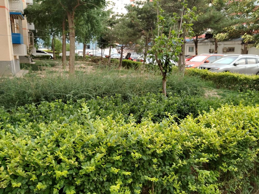 小区相关图
