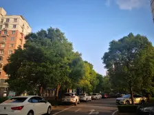 迪士尼后花园 低总价诚心出售 看房随时