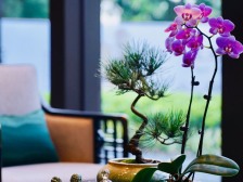 平洲龙光天曜 南向4房 全屋全新装修 看房方便