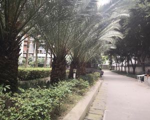 汇锦公寓2室1厅东南