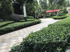 金房大榕湾人家1室1厅东