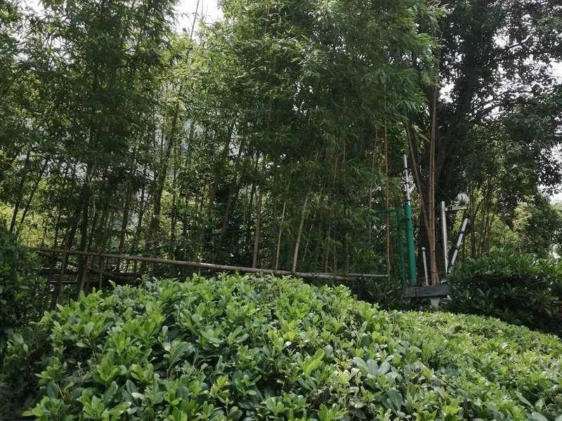 水岸清华二期兰庭实景图