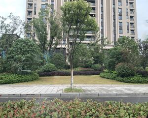 风荷泊园3室2厅南