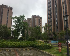 房子精装修,楼层好,户型好,全亮间,配套成熟。