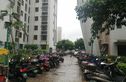 岳麓海岸实景图