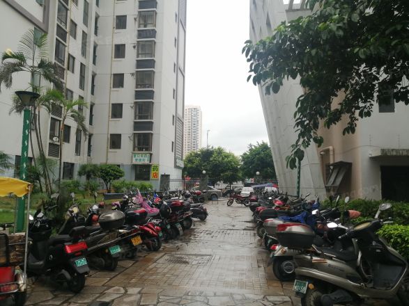 岳麓海岸实景图