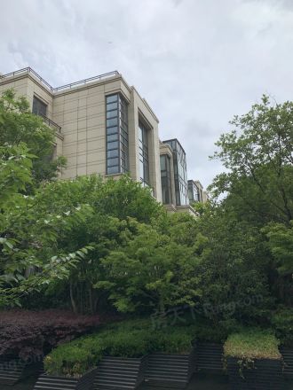 仁恒森兰雅苑一期别墅实景图
