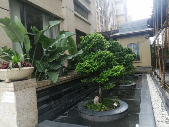 安建假日海岸实景图
