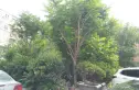 造甲街9号实景图
