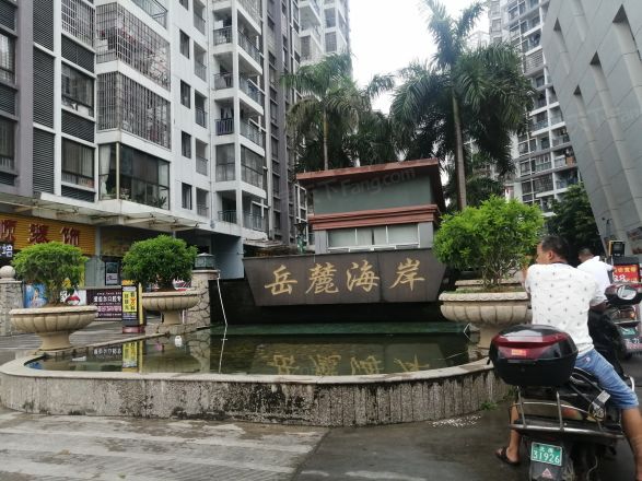 岳麓海岸实景图