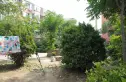 造甲街9号实景图