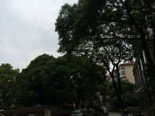 电梯房,一梯两户,南北通透,环境优美,交通便利,精装修