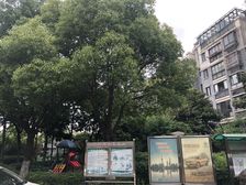 开放式厨房,大开间,品质小区,近地铁