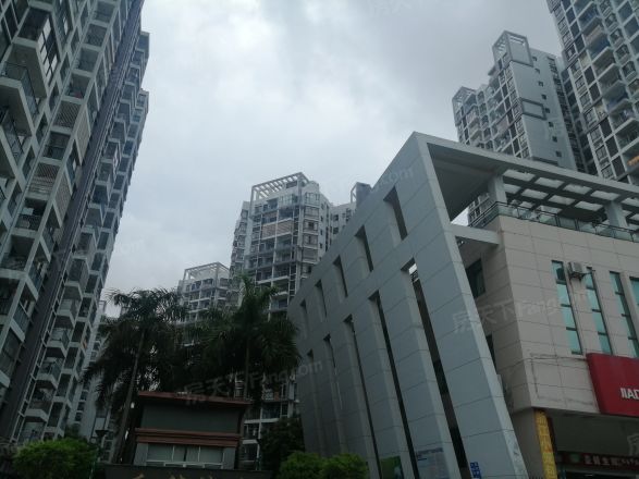 岳麓海岸实景图