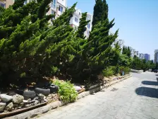 健龙苑 南北通透 楼层视野好 精装修