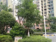 绿地玫瑰城 电梯复式洋房 总高5层 地铁公园家门口