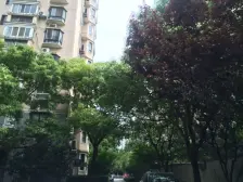 黄兴公园·汇元坊·3室·2厅