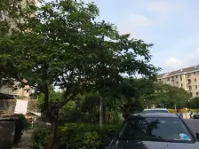 10年后,你的孩子会感谢这套“双地.铁+双学,区下楼名,校