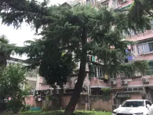 总价低 高区采光好 小区边生活配套完善 交通便利