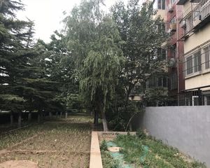 海子角小区南北通透两居室满五唯一,精装修