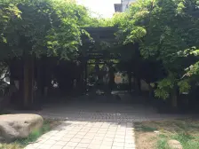 品质小区,环境优美,诚意出售,精装好房