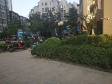 香港城南苑 南北一室一厅 采光好双气 上优胜路