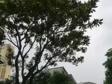 新上一楼送花园,一房一厅,一梯三户,小区位置好,前后滩双轨线