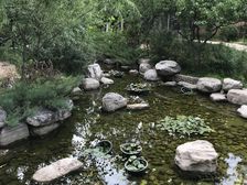 富力金禧花园2室1厅西北
