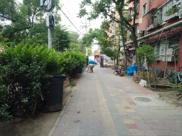 造甲街4号实景图