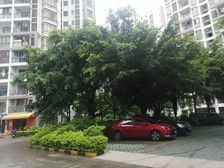小两房,全新装修。基本没怎么住。