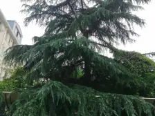 【要急降40万】户型方正,小区环境好,车位充足,配套齐全