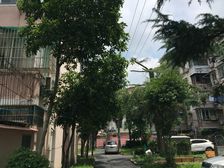 一房一厅,南北通透,近地铁