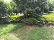 藕巷复式洋房,通透户型,楼层好,采光充足,视野佳,配套齐全