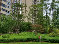 洪大赣江城 南北通透,采光好 装修好,环镜优美 视野好,诚心出售