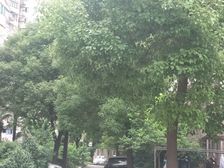 近地铁无抵押,精装,产权清晰,必看好房