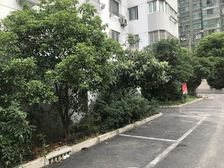 茂兴大厦2室1厅1卫两南