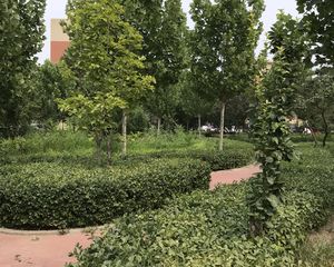 万达·新华南路34号院·3室·2厅