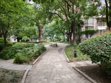 区总推荐好房:带花园的小高层复式,没有缺点,各付税